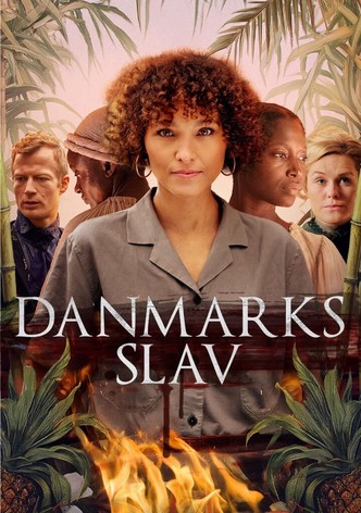 Danmarks slav