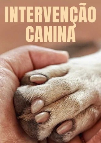 Intervenção Canina