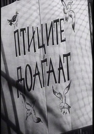 The Birds Are Coming