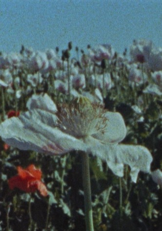 Apocalypse Yesterday, Today, Tomorrow, and the Day After Tomorrow