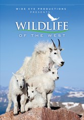 Wildlife of the West