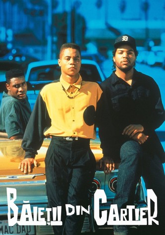 Băieții din cartier