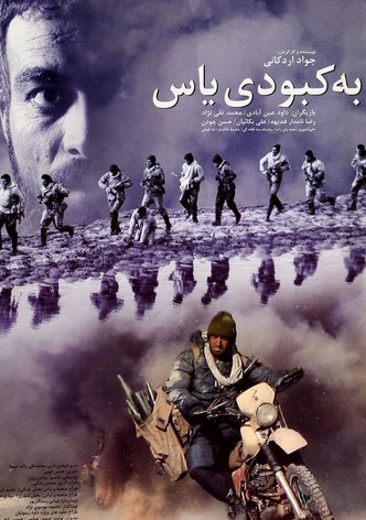 To the bruise of jasmine