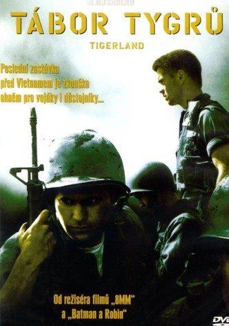 Tábor tygrů
