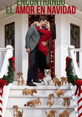 Encontrando el amor en Navidad