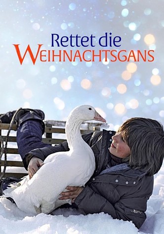 Rettet die Weihnachtsgans