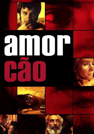 Amor Cão