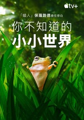 小小世界