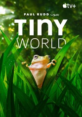 Tiny World
