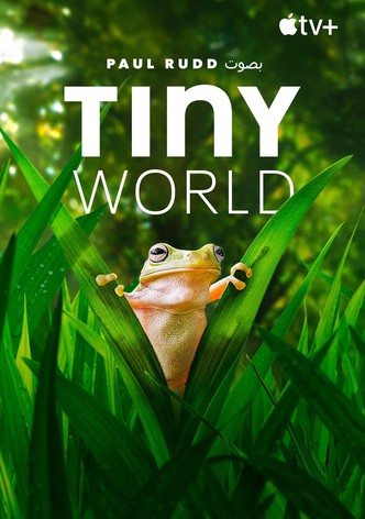 Tiny World