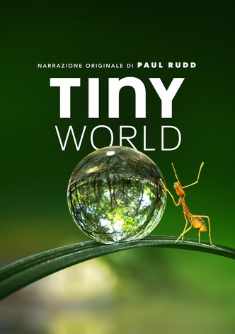 Tiny World