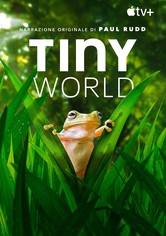 Tiny World