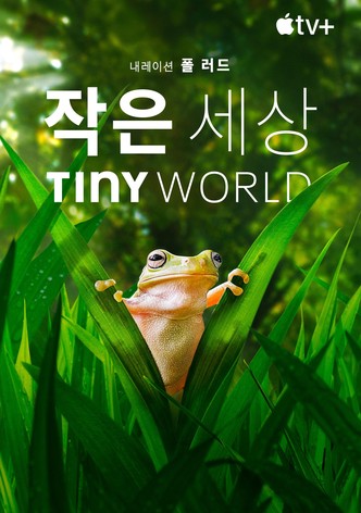 '작은 세상' - Tiny World