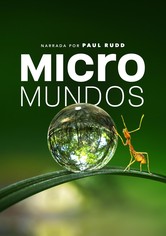 Micromundos - Pequeñas maravillas - Temporada 1