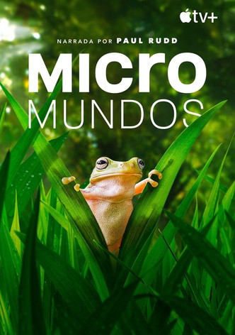 Micromundos