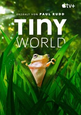 Tiny World