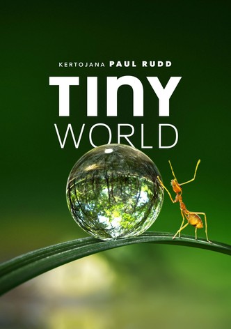 Tiny World