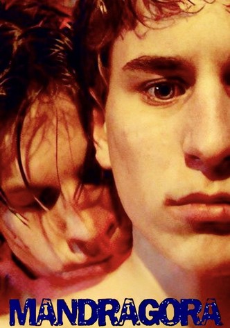 Mandrake