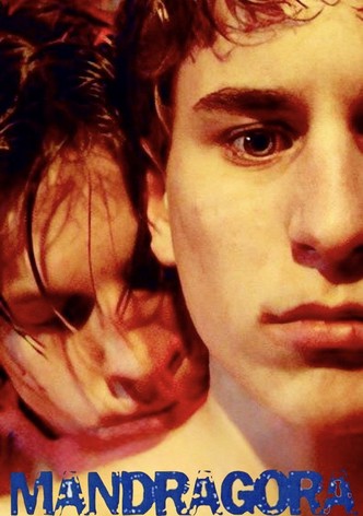 Mandrake