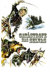 Catástrofe nas Selvas
