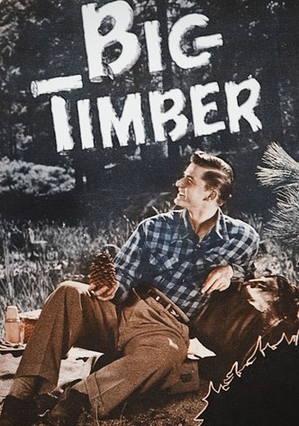 Big Timber