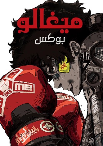 ميقالوبوكس