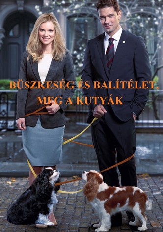 Büszkeség és balítélet, meg a kutyák