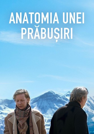 Anatomia unei prăbușiri