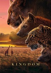 Kingdom