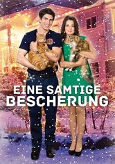 Eine samtige Bescherung