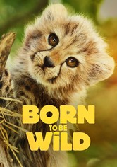 Born to Be Wild - Kausi 1