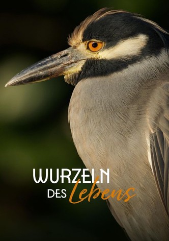 Wurzeln des Lebens