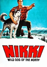 Nikki, Wild Dog of the North