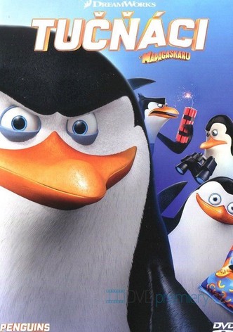 Tučňáci z Madagaskaru 