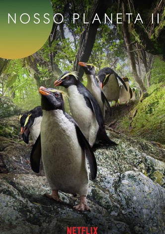 O Nosso Planeta II