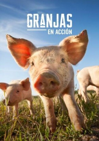 Granjas en acción