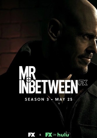 Mr. Inbetween