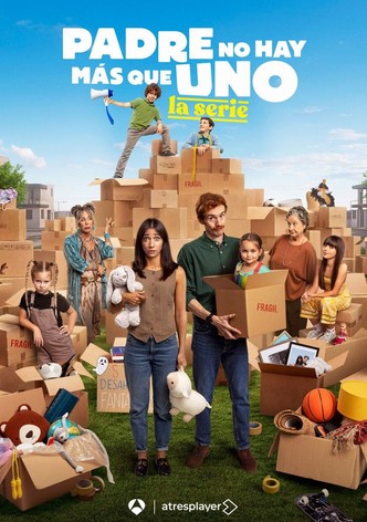 Padre no hay más que uno, la serie - Temporada 1