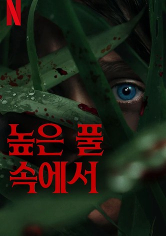 높은 풀 속에서