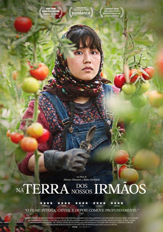 Na Terra dos Nossos Irmãos