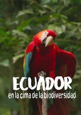 Ecuador: On the Wild Side