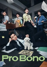 Pro Bono