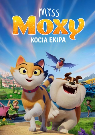 Miss Moxy. Kocia ekipa