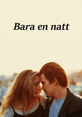 Bara en natt