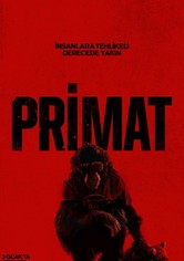 Primat