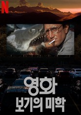 영화, 보기의 미학