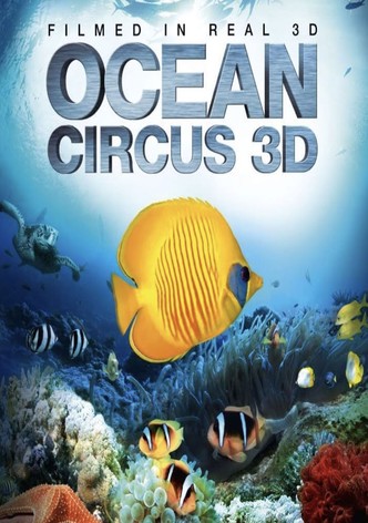 Ocean Circus 3D: Underwater Around the World