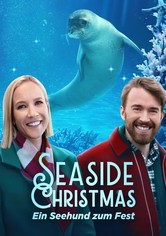 Seaside Christmas – Ein Seehund zum Fest
