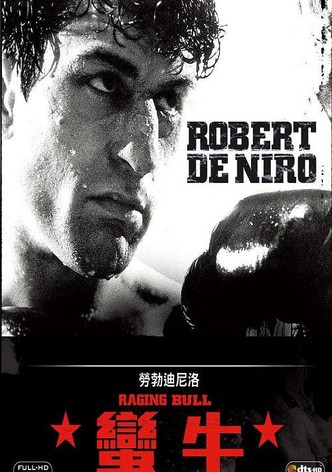 愤怒的公牛