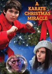 A Karate Christmas Miracle